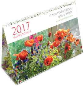 2017 metų stalinis kalendorius